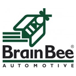 brainbee